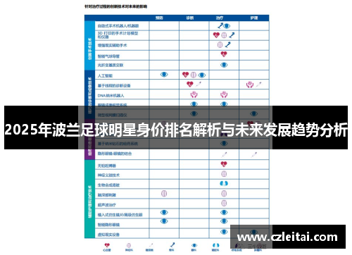 2025年波兰足球明星身价排名解析与未来发展趋势分析