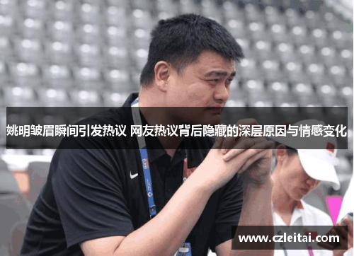 姚明皱眉瞬间引发热议 网友热议背后隐藏的深层原因与情感变化
